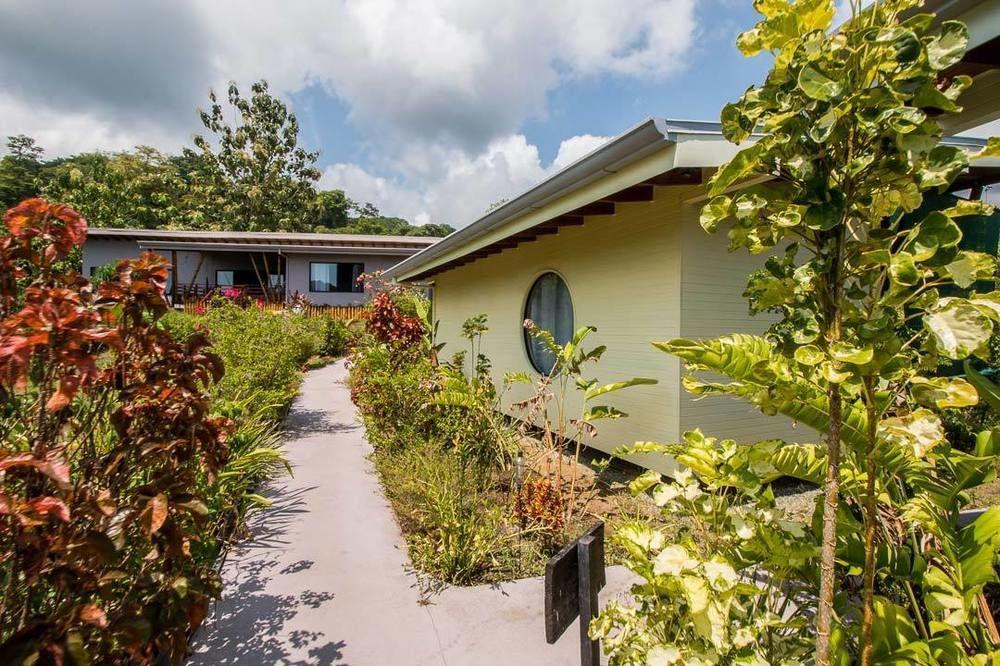 Eden Tica Lodge Uvita Zewnętrze zdjęcie
