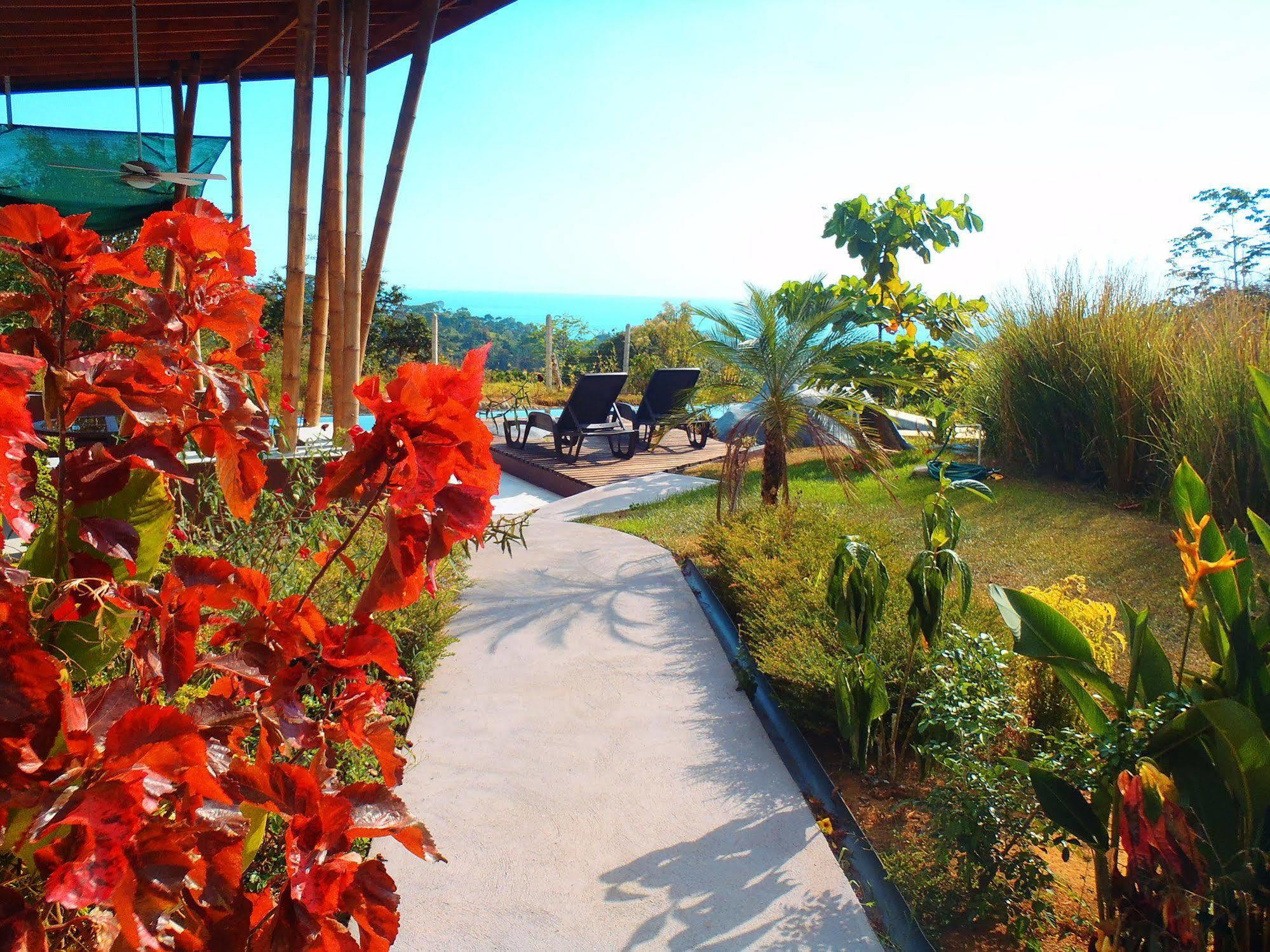 Eden Tica Lodge Uvita Zewnętrze zdjęcie