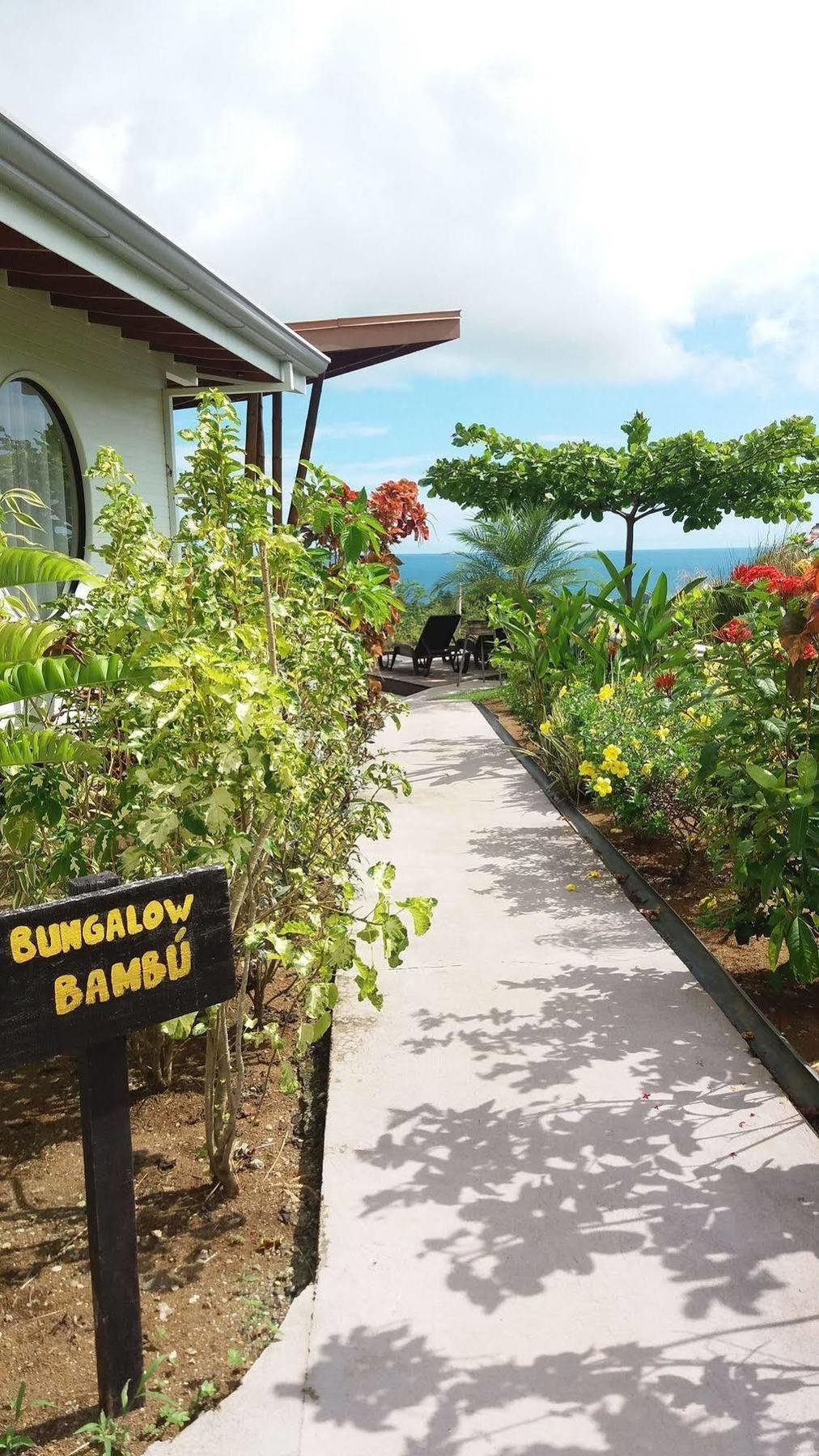 Eden Tica Lodge Uvita Zewnętrze zdjęcie