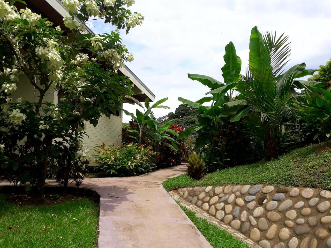 Eden Tica Lodge Uvita Zewnętrze zdjęcie