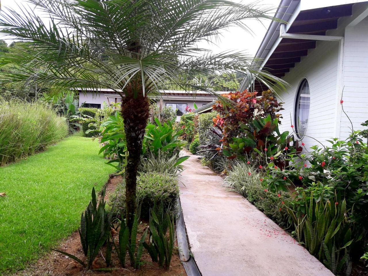 Eden Tica Lodge Uvita Zewnętrze zdjęcie