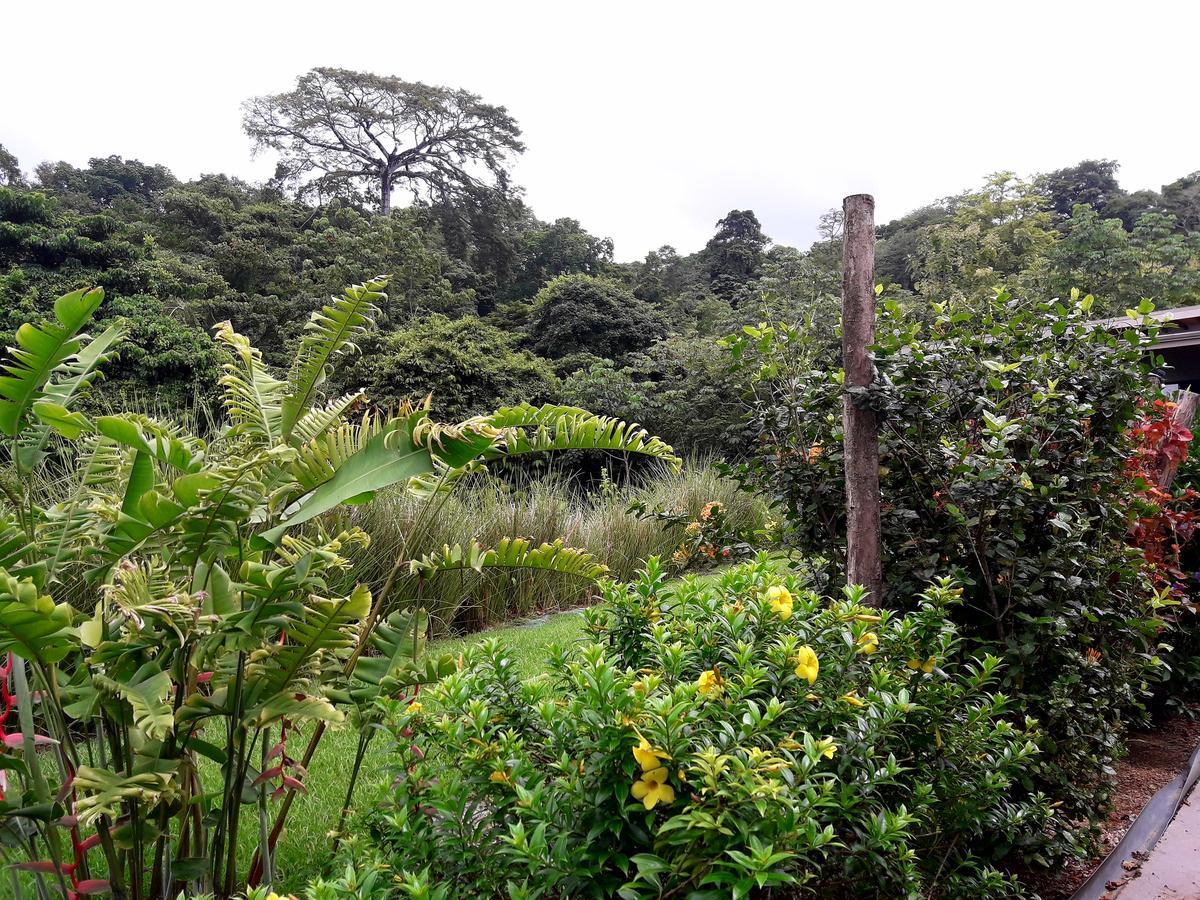 Eden Tica Lodge Uvita Zewnętrze zdjęcie
