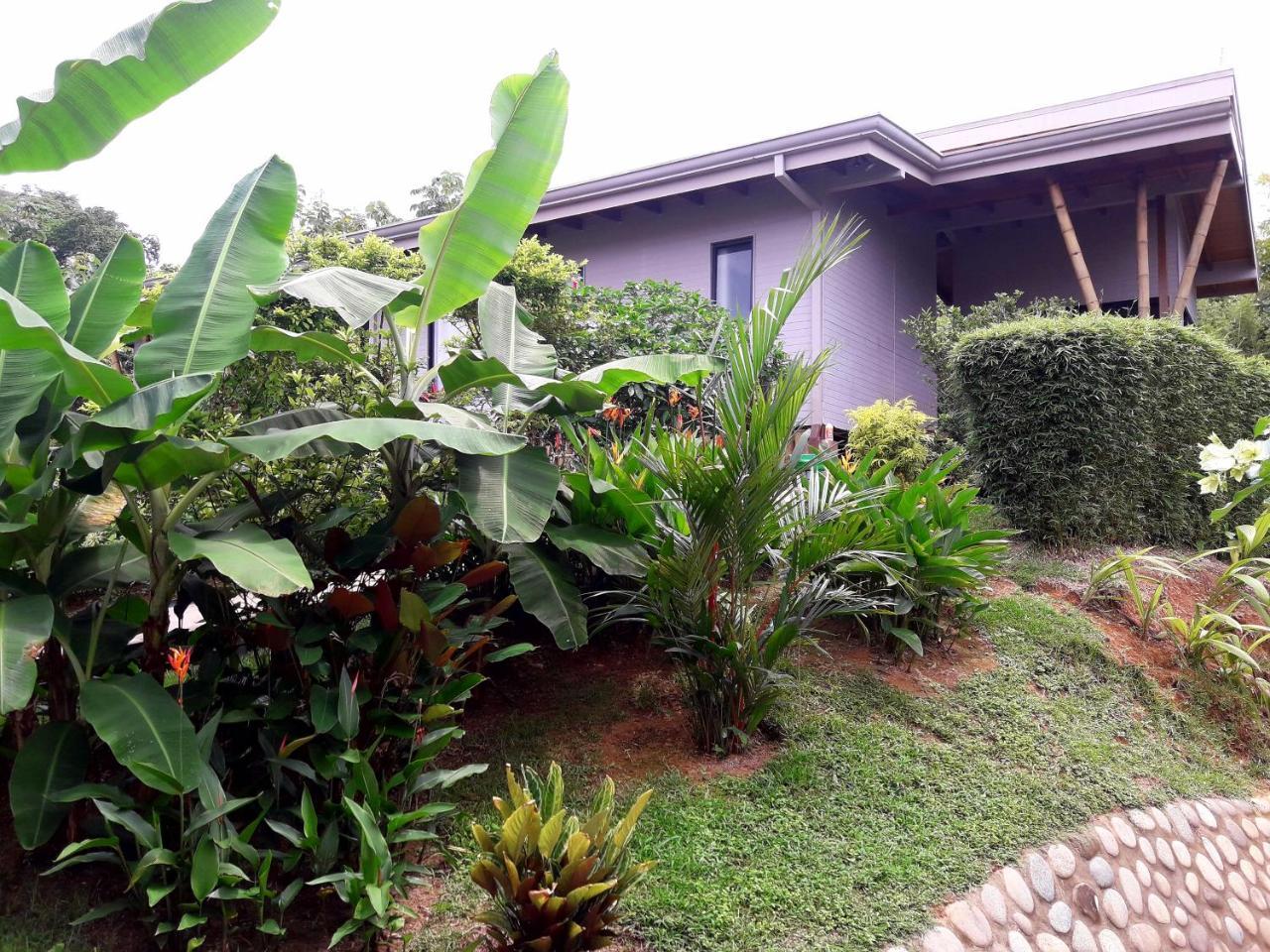 Eden Tica Lodge Uvita Zewnętrze zdjęcie