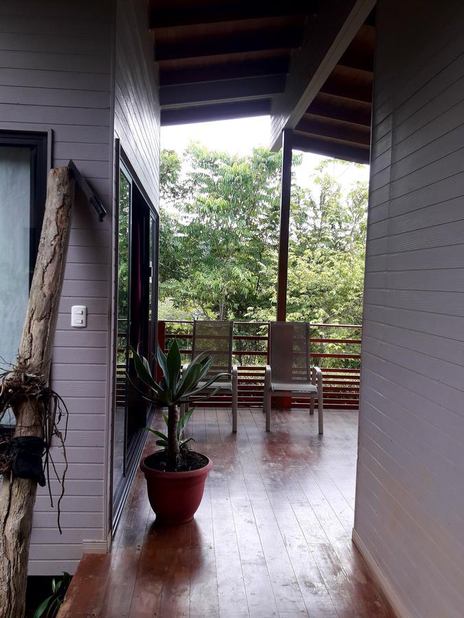 Eden Tica Lodge Uvita Zewnętrze zdjęcie