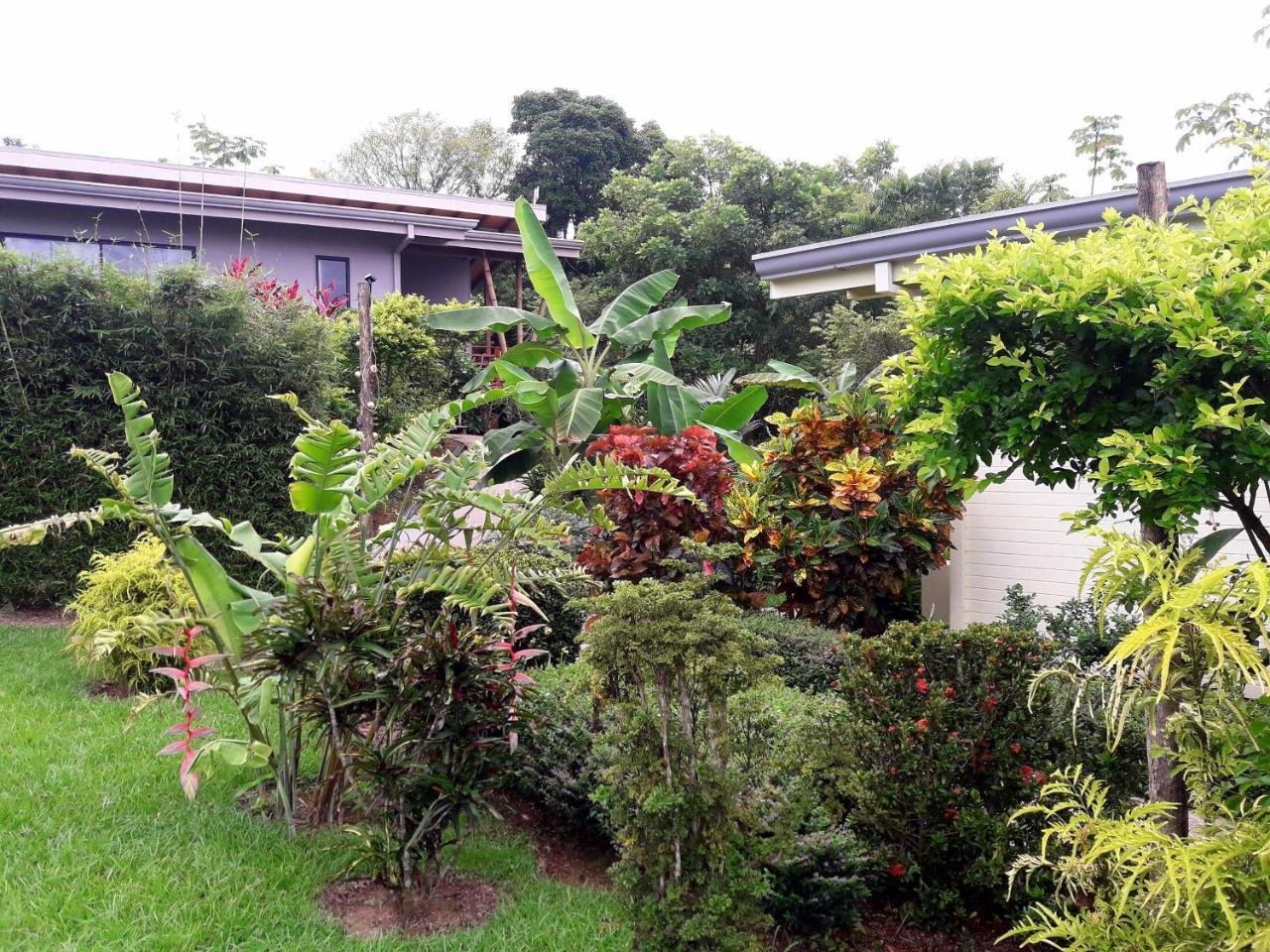 Eden Tica Lodge Uvita Zewnętrze zdjęcie